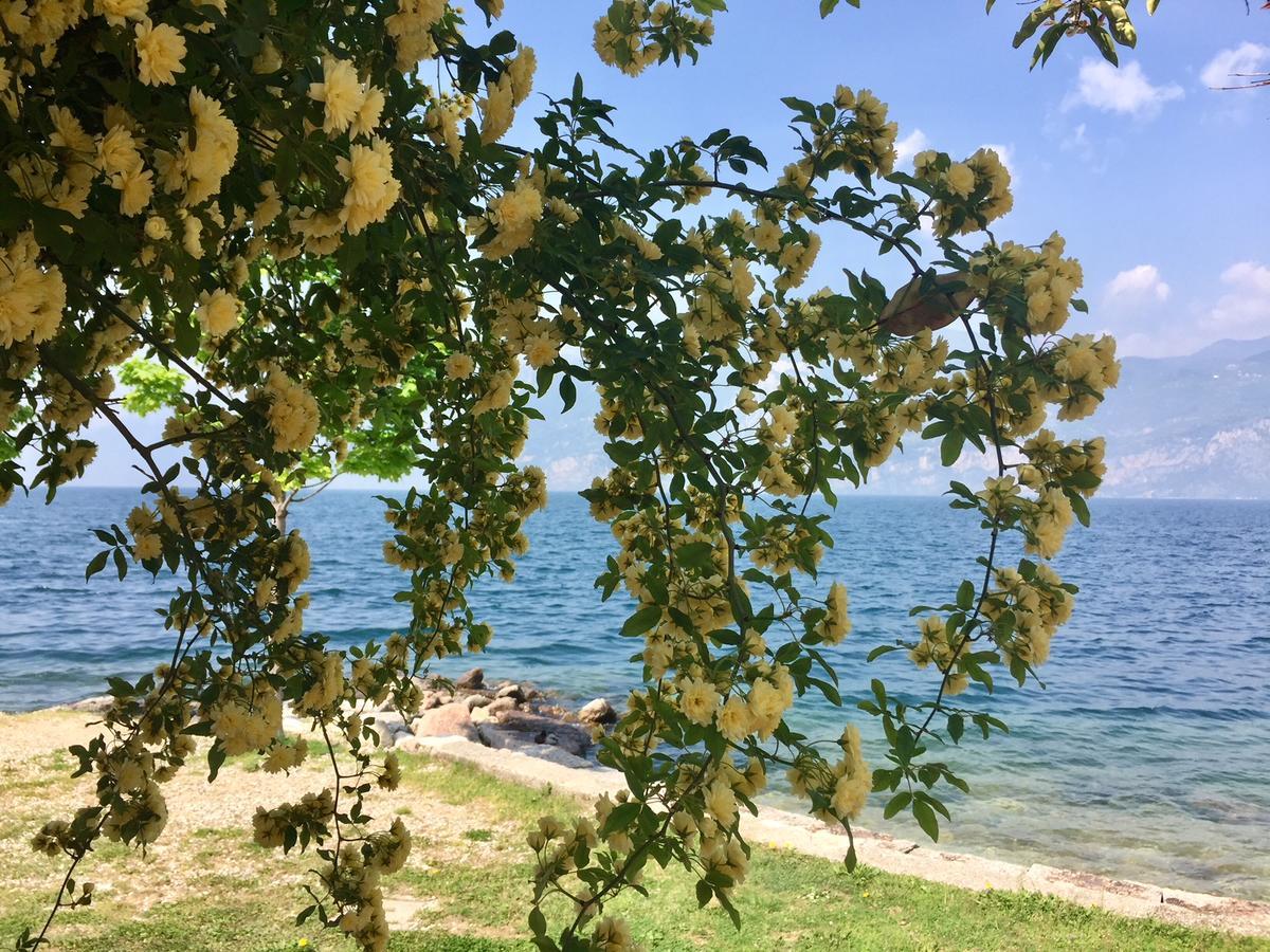 Piccolo Hotel Direkt Am See Brenzone sul Garda Exterior photo